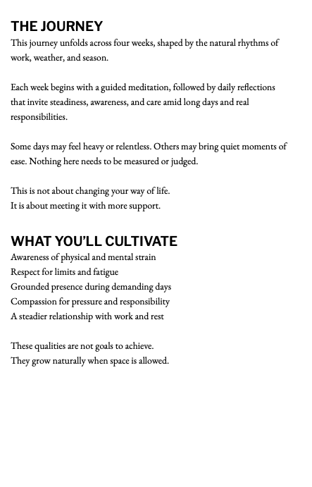 Interior page preview